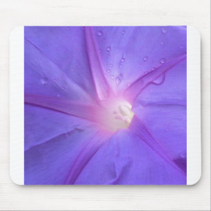ipomeus muismat
