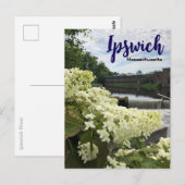 Ipswich Massachusetts Briefkaart (Voorkant / Achterkant)