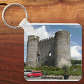 Ireland Carlow Castle, County GAA Vlag Sleutelhanger (Voorkant)