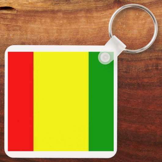 Ireland Carlow Castle, County GAA Vlag Sleutelhanger (Achterkant)