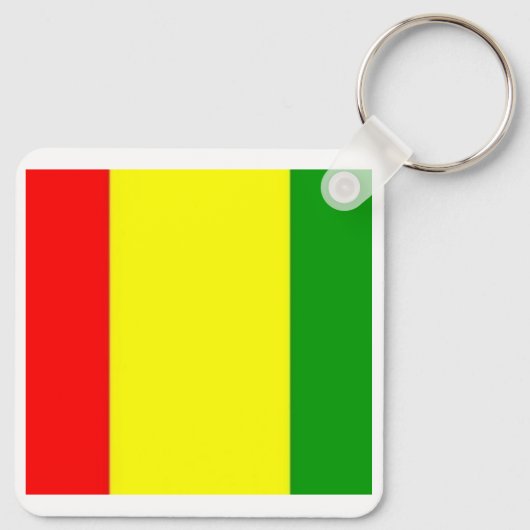 Ireland Carlow Castle, County GAA Vlag Sleutelhanger (Achterkant)