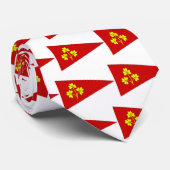 Ireland Royal Irish Yacht Club Ensign Stropdas (Opgerold)