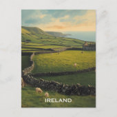 Ireland Sheep Briefkaart (Voorkant)