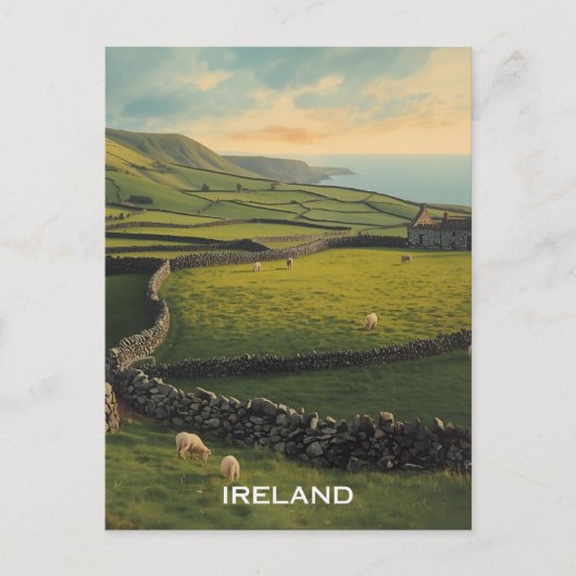 Ireland Sheep Briefkaart (Voorkant)