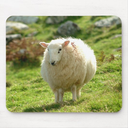 Ireland Sheep Mousepad Muismat (Voorkant)