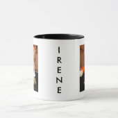 Irene - Shorkie - Foto 3 Mok (Midden)