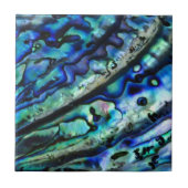 Iridescent Abalone Shell | Abstracte keramische te Tegeltje (Voorkant)