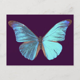 Iridescent Blue Butterfly Briefkaart
