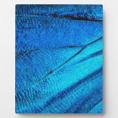 Iridescent Blue Butterfly Wing Fotoplaat (Voorkant)