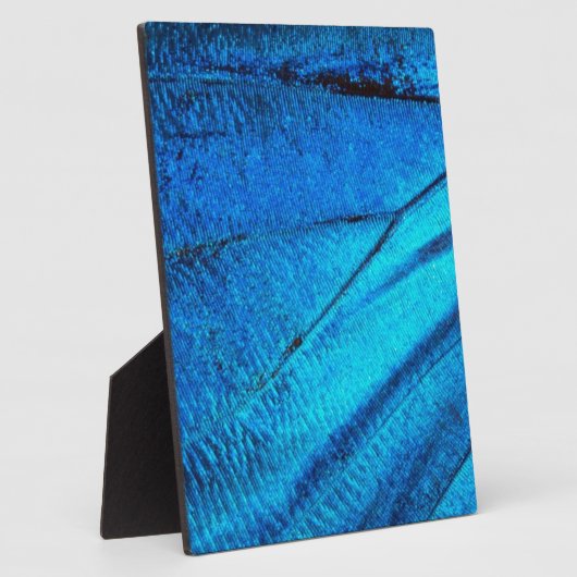 Iridescent Blue Butterfly Wing Fotoplaat (Zijkant)