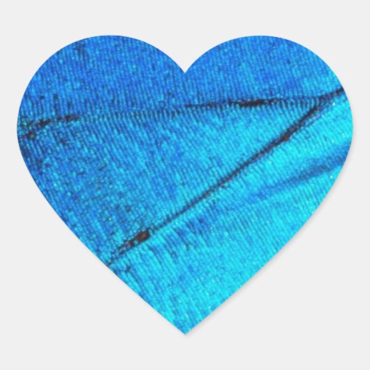 Iridescent Blue Butterfly Wing Hart Sticker (Voorkant)