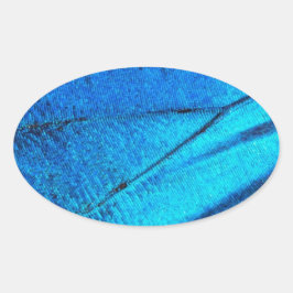 Iridescent Blue Butterfly Wing Ovale Sticker