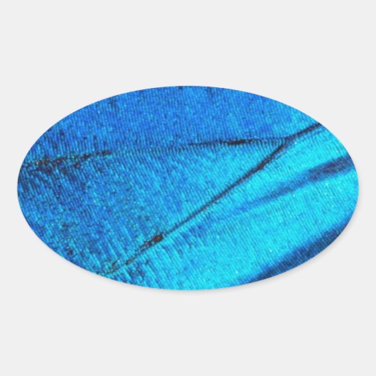 Iridescent Blue Butterfly Wing Ovale Sticker (Voorkant)
