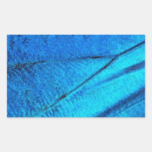 Iridescent Blue Butterfly Wing Rechthoekige Sticker (Voorkant)