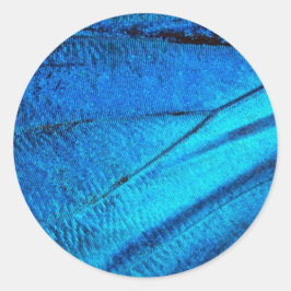 Iridescent Blue Butterfly Wing Ronde Sticker