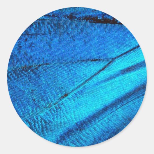 Iridescent Blue Butterfly Wing Ronde Sticker (Voorkant)