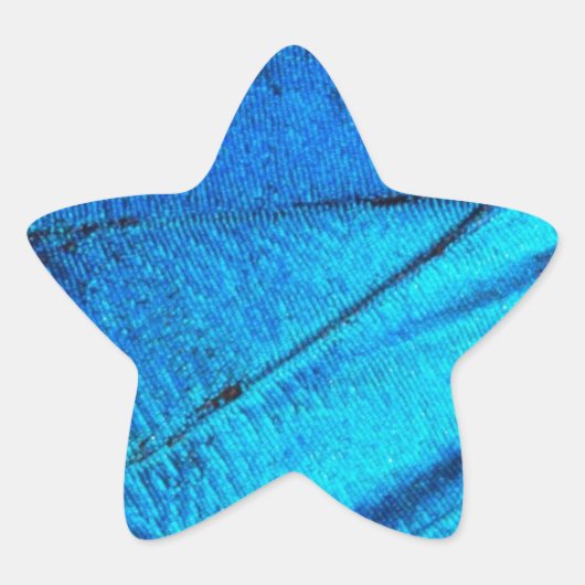 Iridescent Blue Butterfly Wing Ster Sticker (Voorkant)