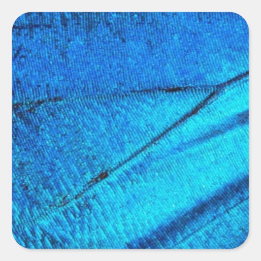Iridescent Blue Butterfly Wing Vierkante Sticker (Voorkant)