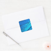 Iridescent Blue Butterfly Wing Vierkante Sticker (Envelop)