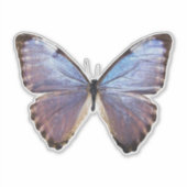 Iridescent Butterfly Sticker (Voorkant)