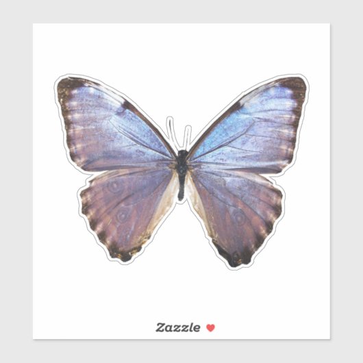 Iridescent Butterfly Sticker (Vel)