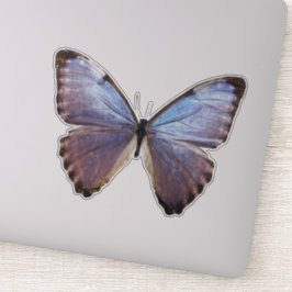 Iridescent Butterfly Sticker