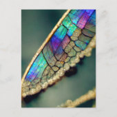 Iridescent dragonwing briefkaart (Voorkant)