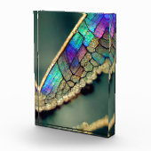 Iridescent dragonwing fotoblokken (Rechts)