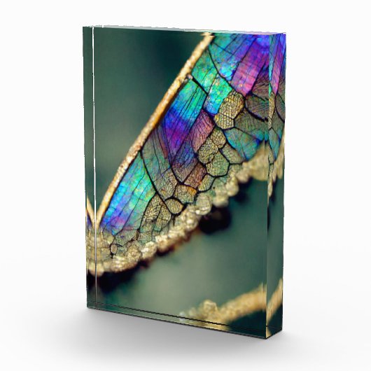 Iridescent dragonwing fotoblokken (Rechts)