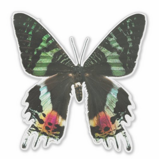 Iridescent Multicolor Butterfly Sticker (Voorkant)