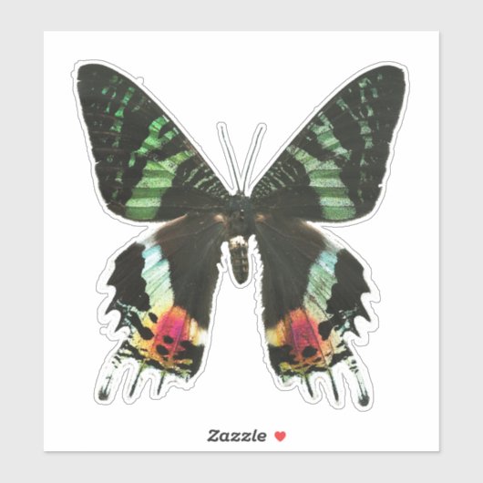 Iridescent Multicolor Butterfly Sticker (Vel)