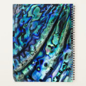 Iridescent Paua Abalone Shell 2026 Planner (Achterkant)