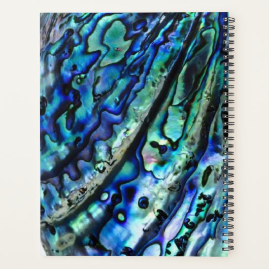 Iridescent Paua Abalone Shell 2026 Planner (Achterkant)