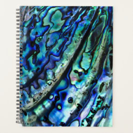 Iridescent Paua Abalone Shell 2026 Planner