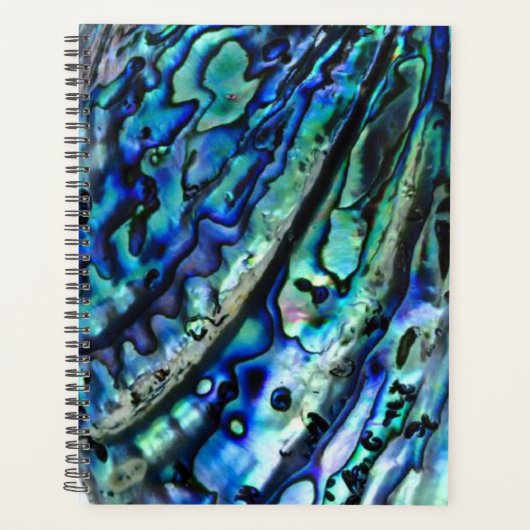 Iridescent Paua Abalone Shell 2026 Planner (Voorkant)