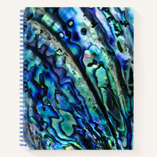 Iridescent Paua Abalone Shell Notitieboek (Voorkant)