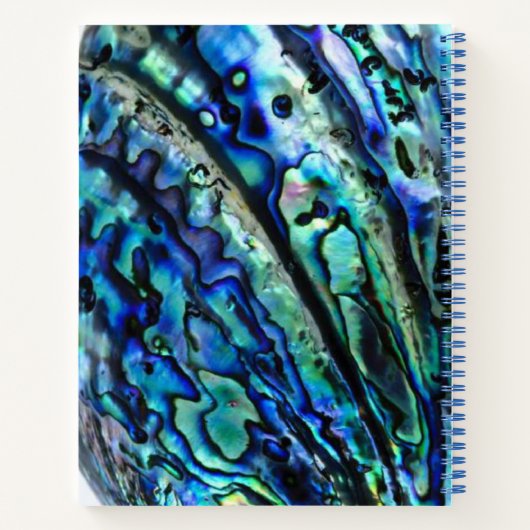 Iridescent Paua Abalone Shell Notitieboek (Achterkant)