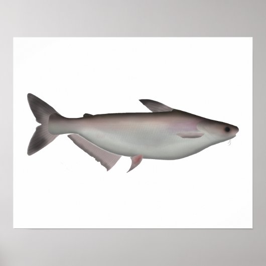 Iridescent Shark Poster (Voorkant)