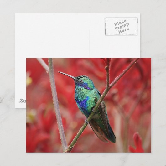 Iridescent Shine Briefkaart (Voorkant / Achterkant)