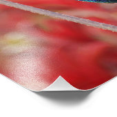 Iridescent Shine Foto Afdruk (Hoek)