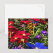 Iridescent Spring Briefkaart (Voorkant / Achterkant)
