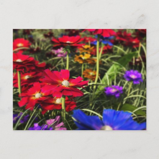 Iridescent Spring Briefkaart (Voorkant)