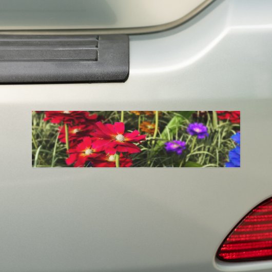 Iridescent Spring Bumpersticker (Op auto)