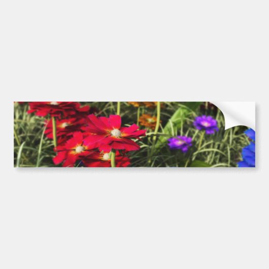 Iridescent Spring Bumpersticker (Voorkant)