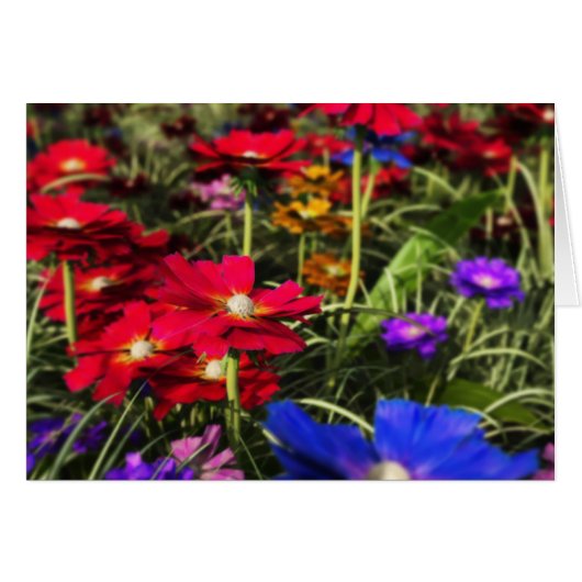 Iridescent Spring Card (Voorkant Horizontaal)
