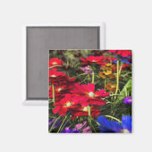 Iridescent Spring Magnet (Voorkant / Achterkant)