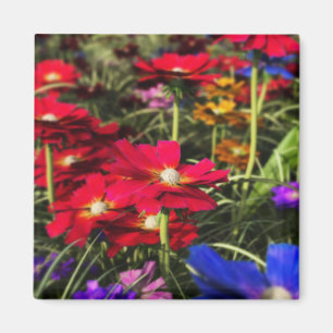 Iridescent Spring Magnet