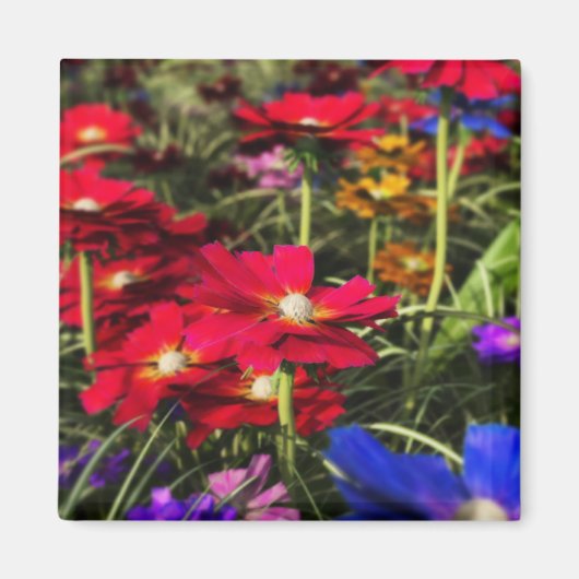 Iridescent Spring Magnet (Voorkant)