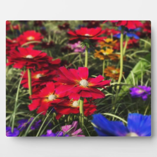 Iridescent Spring Photo Plaque Fotoplaat (Voorkant)