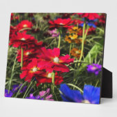 Iridescent Spring Photo Plaque Fotoplaat (Zijkant)